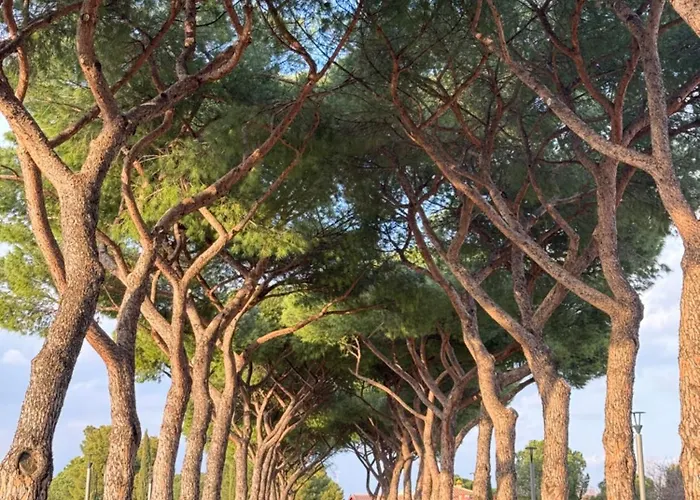 Διαμέρισμα Flower Garden House Ρώμη